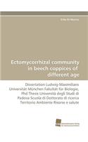 Ectomycorrhizal Community in Beech Coppices of Different Age