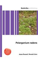 Pelargonium Radens