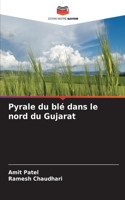 Pyrale du blé dans le nord du Gujarat