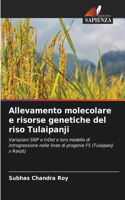 Allevamento molecolare e risorse genetiche del riso Tulaipanji