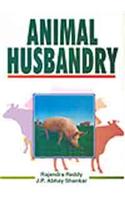 Animal Husbandry