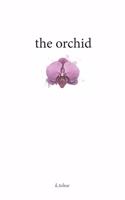 orchid