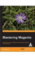 Mastering Magento: Maximize The Power Of Magento: For Developers, Designers And Store