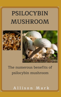 Psilocybin Mushroom