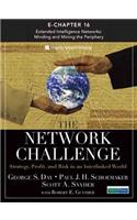 Extended Intelligence Networks