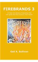 FIREBRANDS 3 ~ 12 Real Life Stories of Salvation that will Ignite the Fire of God in Your Heart!