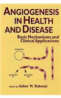 Angiogenesis in Health and Disease