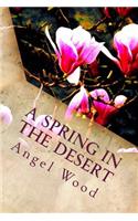 Spring in the Desert