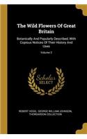 The Wild Flowers Of Great Britain