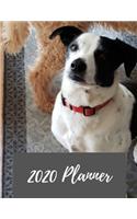2020 Planner