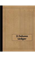 3 Column Ledger