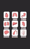 Heart Lungs Stomach Kidney Liver Spleen Brain Gallbladder Bones