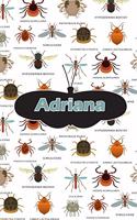 Adriana: Bug Insect Weekly Planer Book Notebook Journal Book 120 Pages 6x9