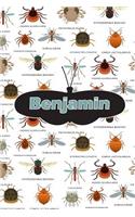 Benjamin: Bug Insect Handwriting for K-3 Students Practice Paper Book Notebook Journal Book 120 Pages 6x9