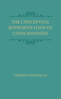 Conceptual Representation of Consciousness