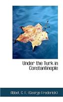 Under the Turk in Constantinople