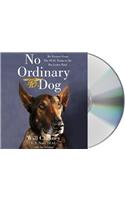 No Ordinary Dog