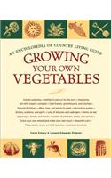 Growing Your Own Vegetables