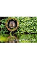 British Wildlife 2018 2018