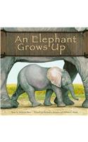 Elephant Grows Up