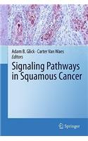 Signaling Pathways in Squamous Cancer