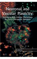 Neuronal and Vascular Plasticity