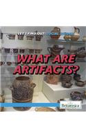 What Are Artifacts?