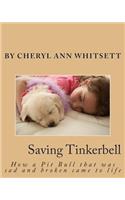 Saving Tinkerbelle: (English)