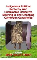 Indigenous Political Hierarchy and Sustainable Collective Meaning in the Changin