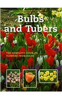 Bulbs and Tubers