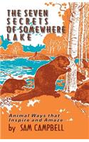 The Seven Secrets of Somewhere Lake