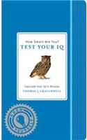 How Smart Are You? Test Your IQ