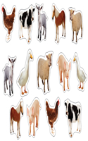 Farm Animals: Photographic Shape Stickers