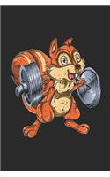 Funny Animal Fitness - Squirrel Squat