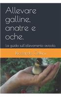 Allevare galline, anatre e oche.