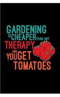 Gardening Tomatoes