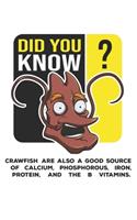 Did You Know?