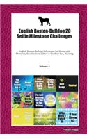 English Boston-Bulldog 20 Selfie Milestone Challenges