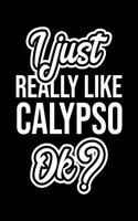 I Just Really Like Calypso Ok?