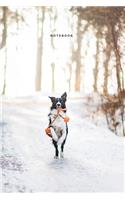 Notebook: Funny Dog Winter, Perfect Gift Idea For Friend, For Men, Women, Boys & Girls. Journal, Diary, Keepsake, Memory Book To Write Or Draw In (110 Pages, 