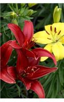 2020 Weekly Planner Flowers Pretty Red Yellow Lilies 134 Pages: 2020 Planners Calendars Organizers Datebooks Appointment Books Agendas