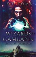 Wizards of Camlann: (6 Sons of Camelot)