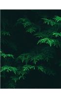 Conifer Sketchbook: Blank Art Sketch Pad Journal Notebook(46 Go Green 150 Sketch)
