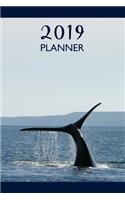 Blue Whale Planner