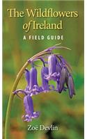 The Wildflowers of Ireland