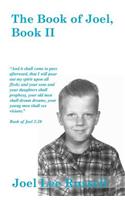Book of Joel, Book II