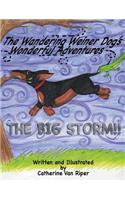 Wandering Weiner Dog's Wonderful Adventures