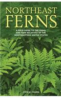 Northeast Ferns