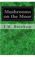 Mushrooms on the Moor