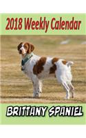 2018 Weekly Calendar Brittany Spaniel